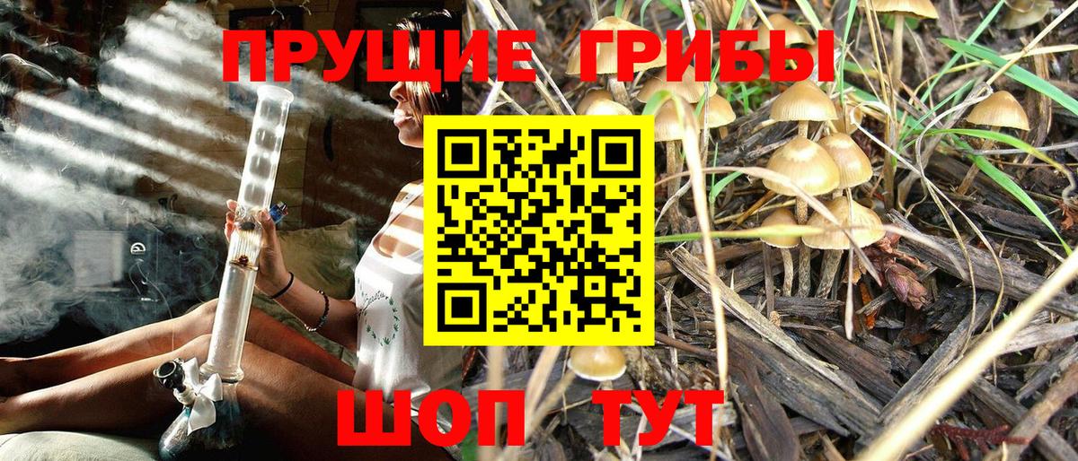 Благодарный  цена наркотик  Вход с VPN  Галлюциногенные грибы прущие грибы 
