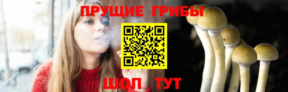 Галлюциногенные грибы Magic Shrooms Благодарный